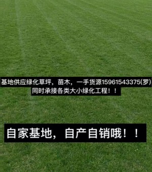 南京哪家草坪质量好，价格便宜